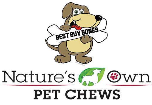 Best_Buy_Bones_Logo_
